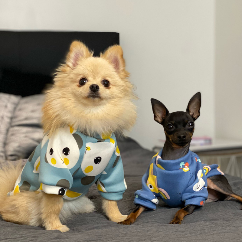 Xs Dog Clothes for Small Dogs  – Winter Clothing Boys Bewertung und Preis
