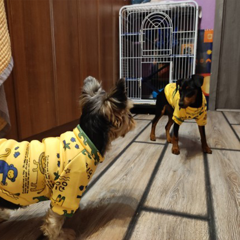 Xs Dog Clothes for Small Dogs  – Winter Clothing Boys Bewertung und Preis